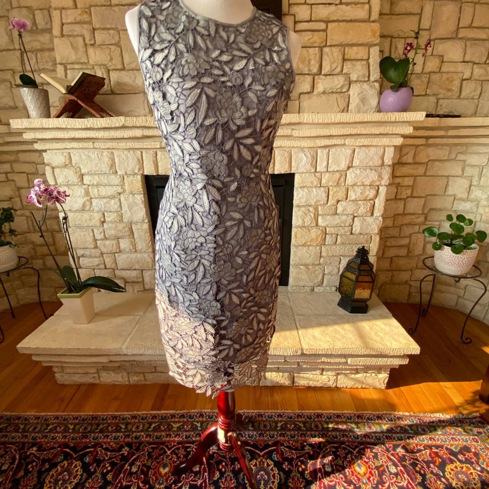 $220 NWT Gorgeous silver/grey dress lace WHBM 8